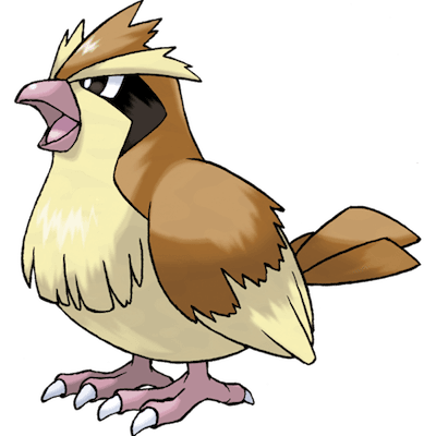 Pidgey