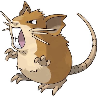 Raticate