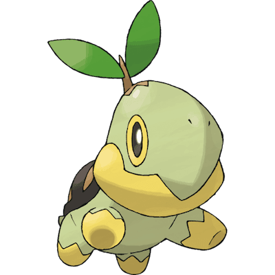 Turtwig