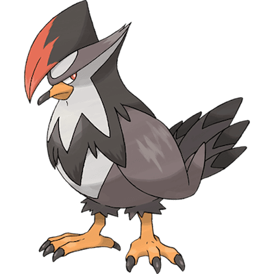 Staraptor