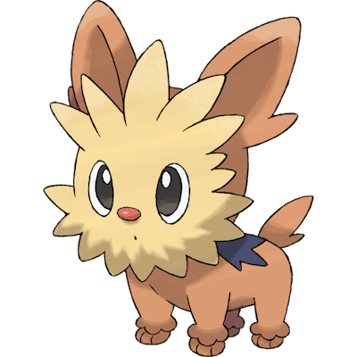 Lillipup