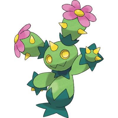 Maractus
