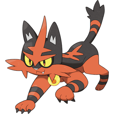 Torracat