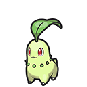 Chikorita