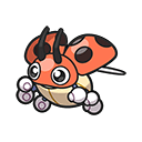 Ledyba