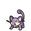 Rattata