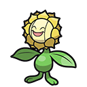 Sunflora