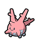 Corsola