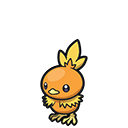 Torchic