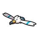 Wingull