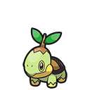 Turtwig