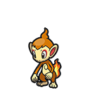Chimchar