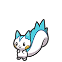 Pachirisu