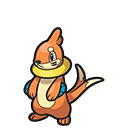Buizel