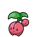 Cherubi