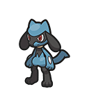 Riolu