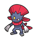 Weavile