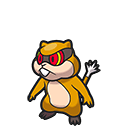 Patrat