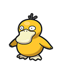 Psyduck