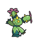 Maractus