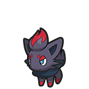 Zorua