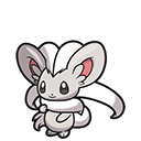 Cinccino