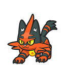 Torracat