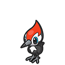 Pikipek