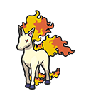 Rapidash