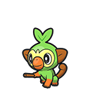 Grookey