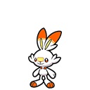 Scorbunny