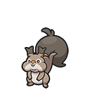 Skwovet