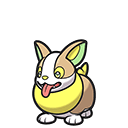 Yamper