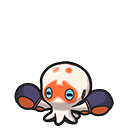 Clobbopus