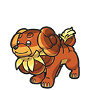 Dachsbun